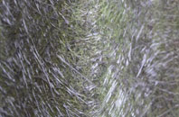 Stratford St Mary fibreglass roof work